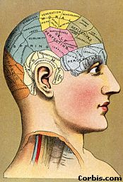 phrenology.jpg